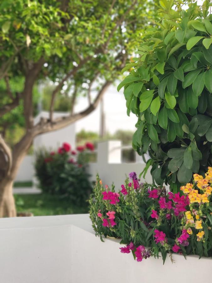 Alykes House Near The Sea Artemida (Attica) Exterior foto